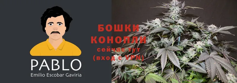 Канабис SATIVA & INDICA  где купить наркоту  ОМГ ОМГ рабочий сайт  Усолье-Сибирское 